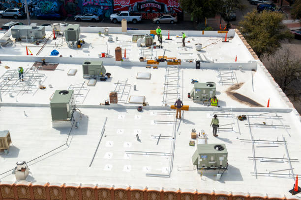 Best Roof Moss and Algae Removal  in Running Springs, CA